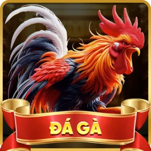 Quét mã QR để tải ứng dụng banca29 bet