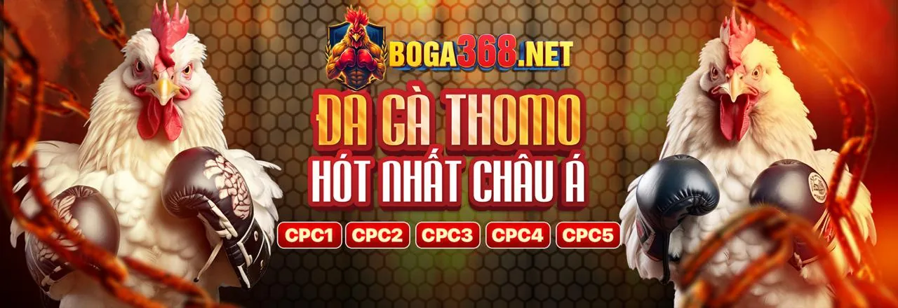 Đội ngũ hỗ trợ khách hàng 24/7 của banca29 bet luôn sẵn sàng