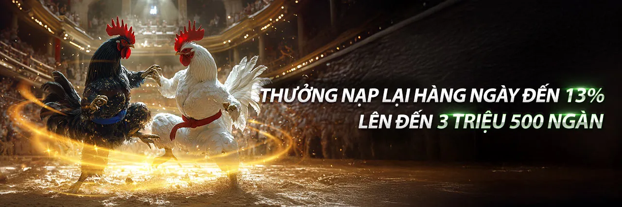 Đá gà trực tuyến kịch tính tại banca29 bet