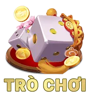 Biểu tượng được cấp phép và quản lý